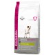 Eukanuba Adult Jack Russell Terrier hundfoder