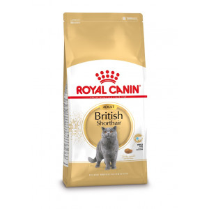 Royal Canin Adult British Shorthair kattfoder