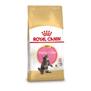 Royal Canin Kitten Maine Coon kattfoder