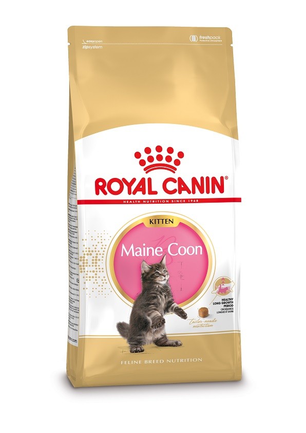 Royal Canin Kitten Maine Coon kattfoder