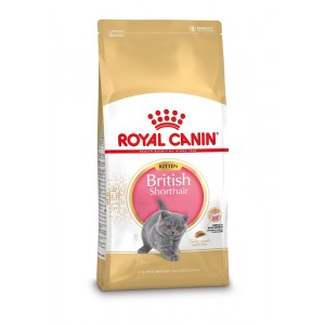 Royal Canin Kitten British Shorthair kattfoder