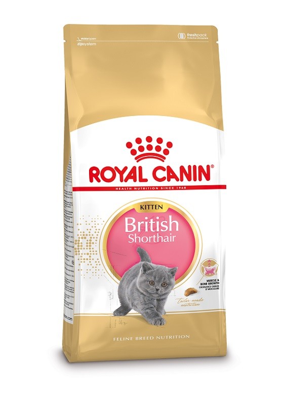 Royal Canin Kitten British Shorthair kattfoder