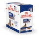 Royal Canin Maxi Ageing 12+ natvoer