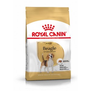 Royal Canin Adult Beagle hundfoder