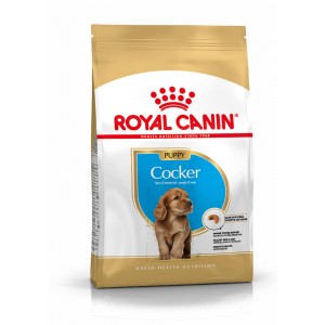 Royal Canin Puppy Cocker Spaniel hundfoder