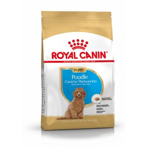 Royal Canin Poodle 33 junior hondenvoer