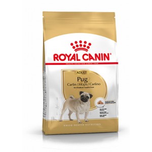 Royal Canin Adult Pug hundfoder