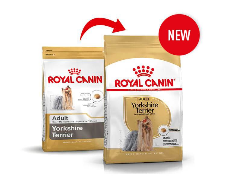 Royal Canin Adult Yorkshire Terriër hundfoder