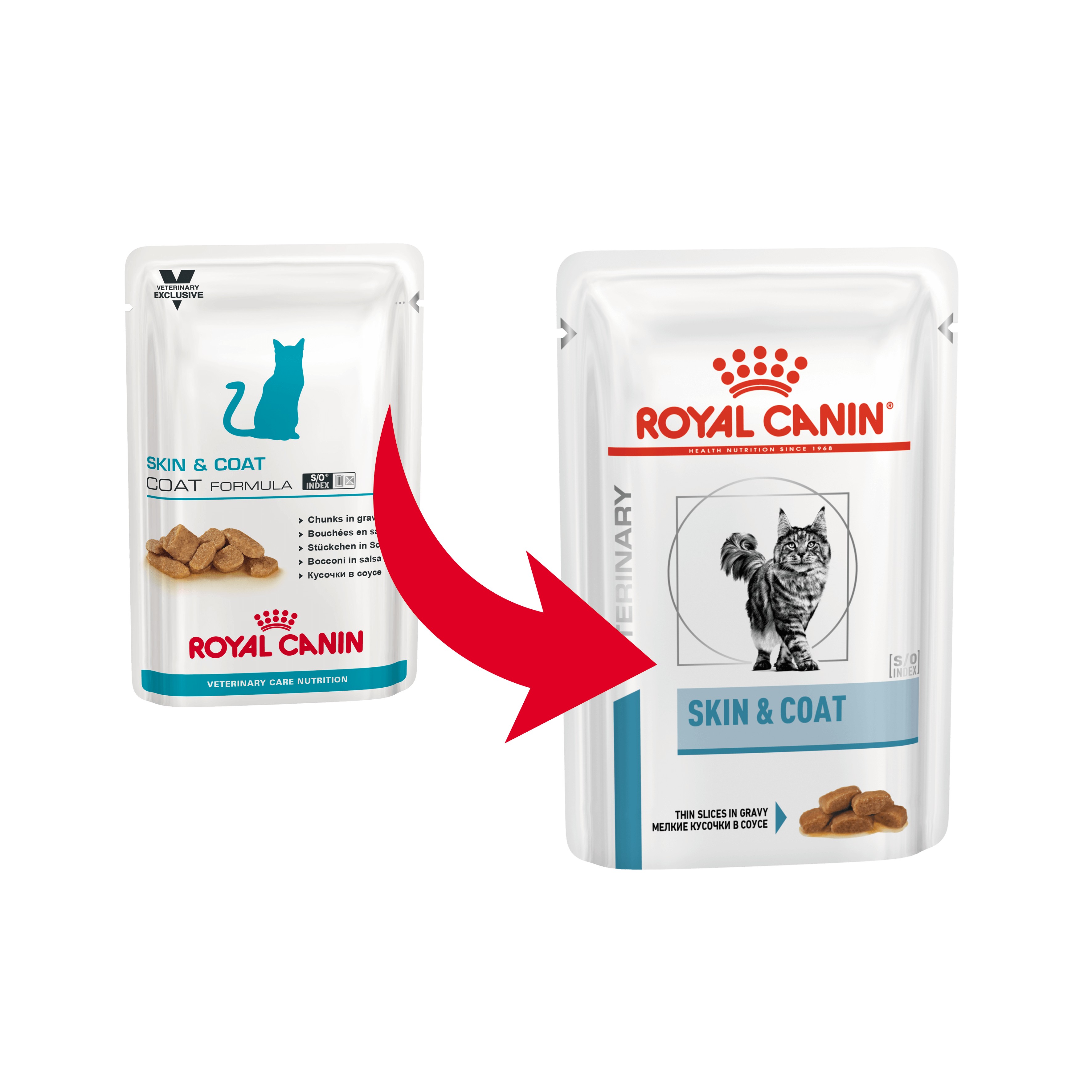 Royal Canin Skin & Coat zakjes kattenvoer