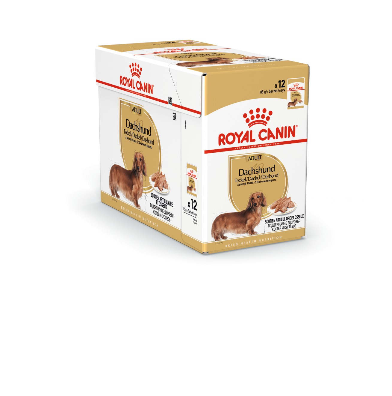 Royal Canin Teckel/Dachshund Adult Wet