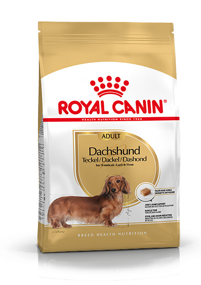 Royal Canin Adult Dachshund (Tax) hundfoder