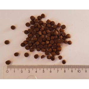 Cadilo Kitten Junior kattenvoer