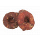 Buffelhuid Donut met eend voor honden