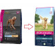 Eukanuba Adult Large Breed hundfoder med lamm och ris