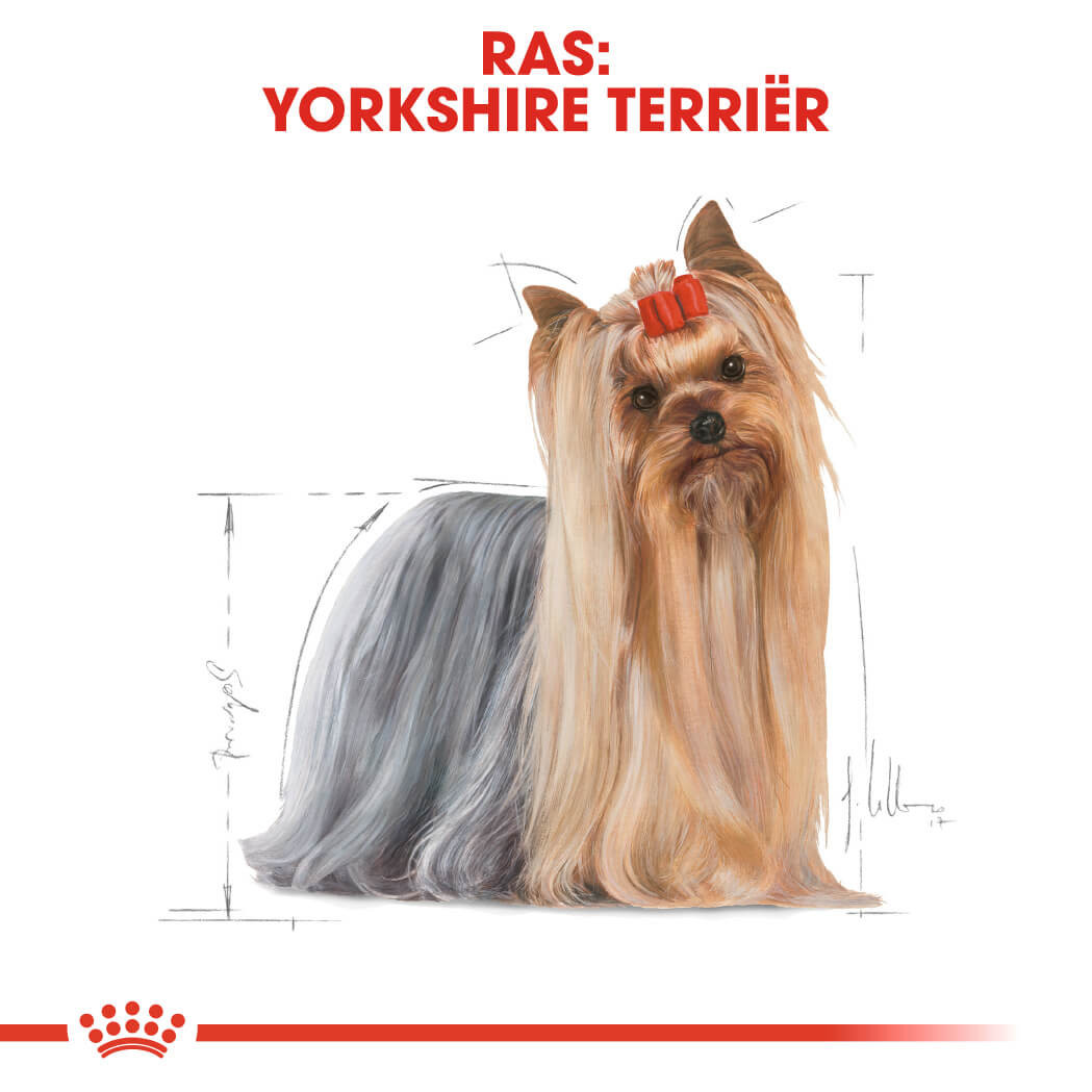 Royal Canin Adult Yorkshire Terriër hundfoder