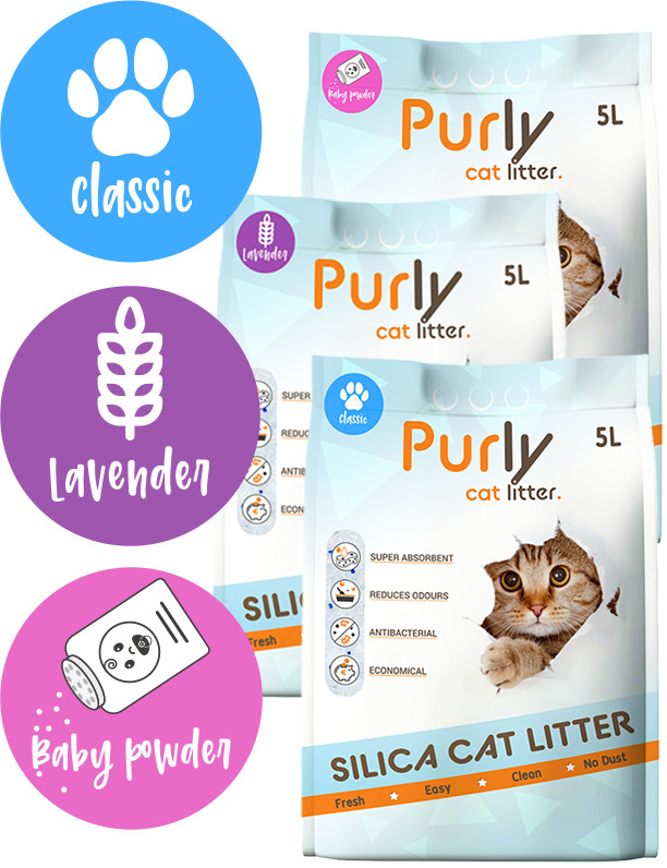 Purly silica kattengrit Probeerpakket