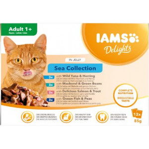 Iams Delights Adult Sea Collection in jelly natvoer kat (12x85 g)