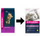 Eukanuba Kitten kyckling kattfoder