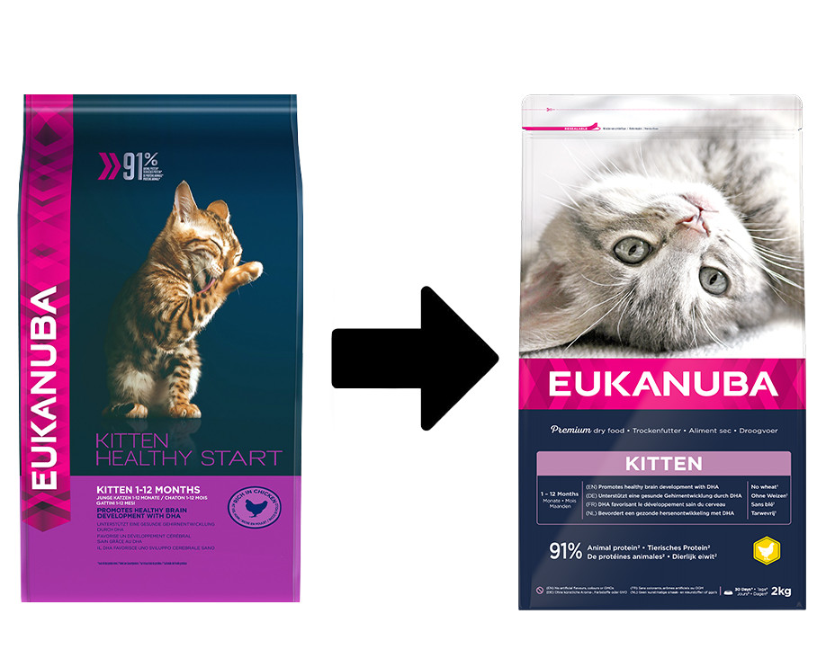 Eukanuba Kitten kyckling kattfoder