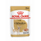 Royal Canin Chihuahua Adult Wet