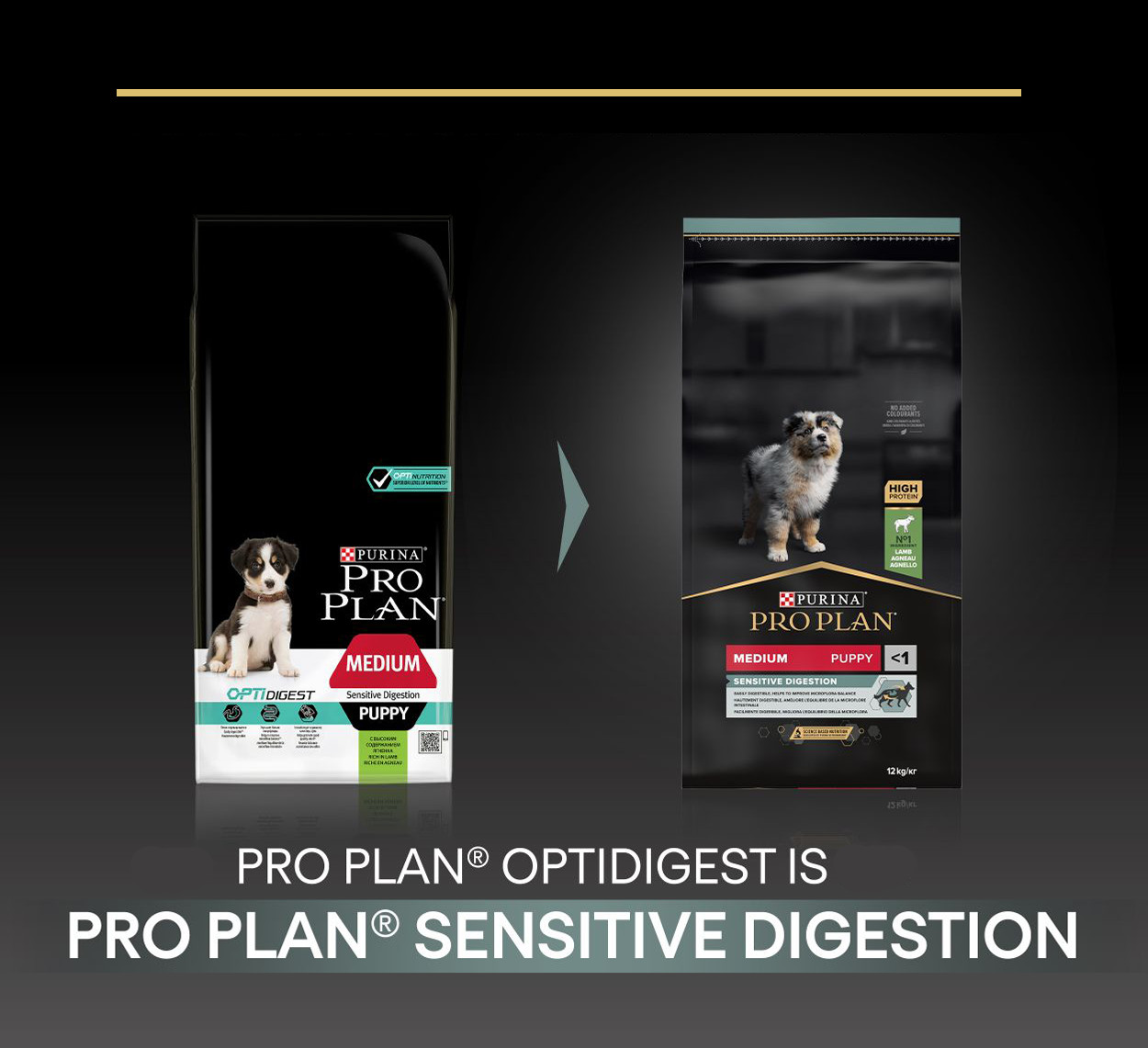 Pro Plan Medium Puppy Sensitive Digestion met lam hondenvoer