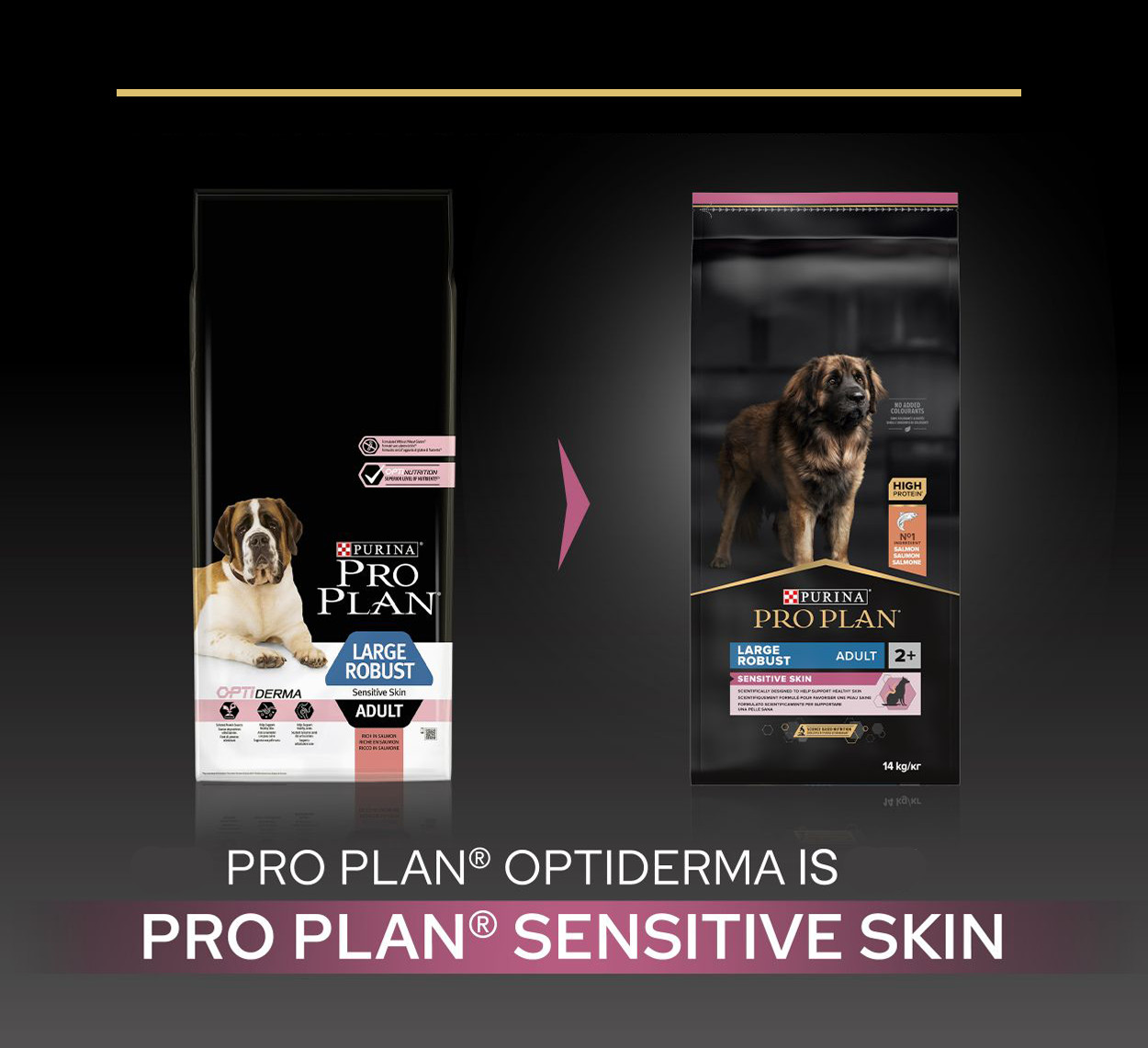 Pro Plan Large Robust Adult Sensitive Skin met zalm hondenvoer