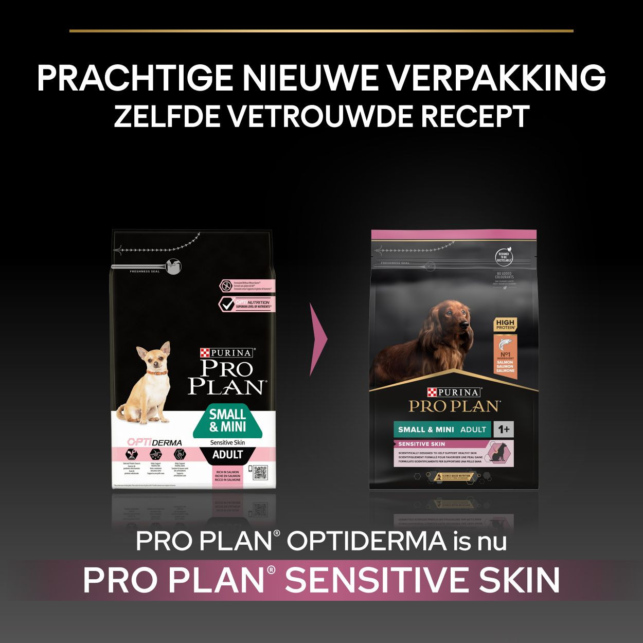 Pro Plan Small & Mini Adult Sensitive Skin met zalm hondenvoer