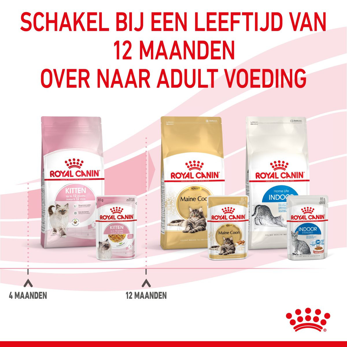 Royal Canin Kitten natvoer in jelly (85 g)