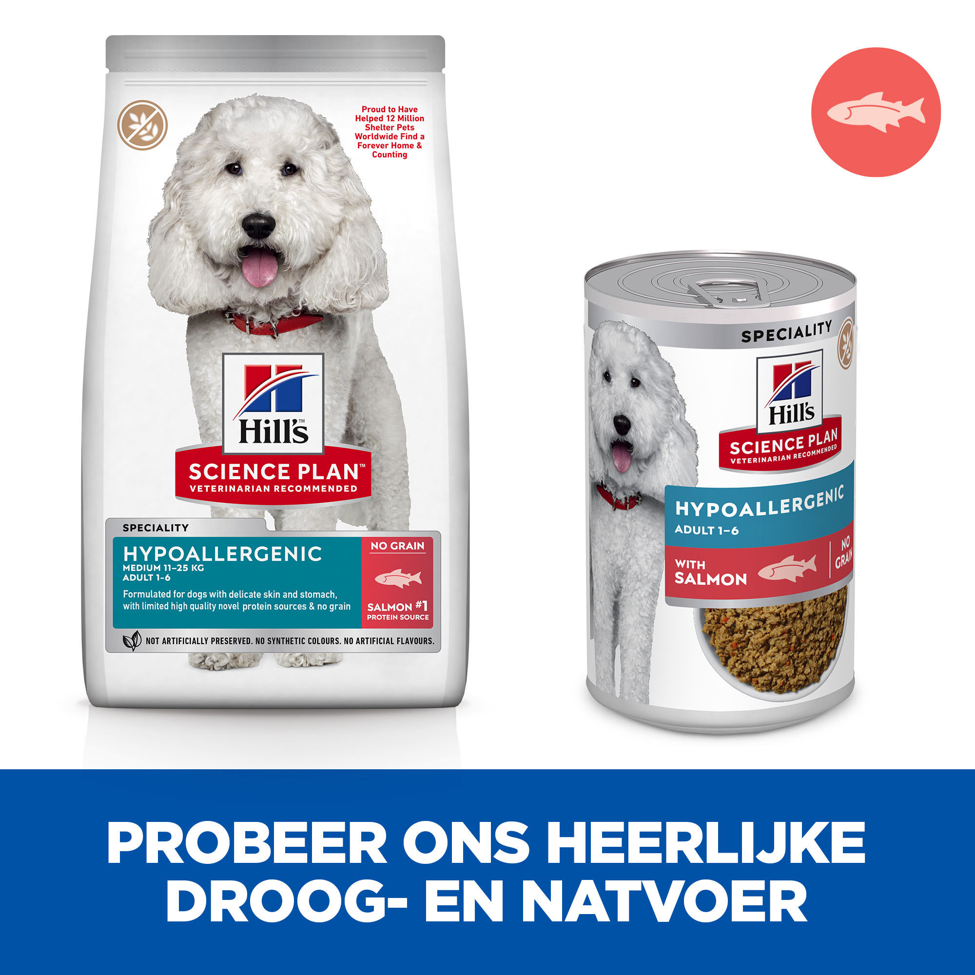 Hill's Adult Hypoallergenic våtfoder hund med lax (burk)
