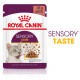 Royal Canin Sensory Taste kattenvoer