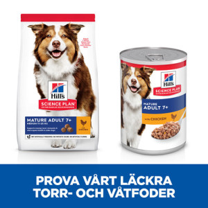 Hill's Mature Adult 7+ Medium hundfoder med kyckling