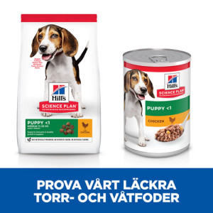 Hill's Puppy Medium hundfoder med kyckling