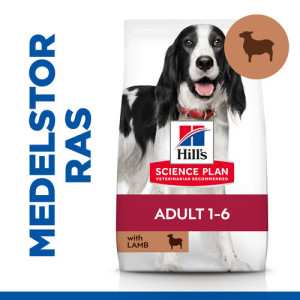 Hill's Adult Medium hundfoder med lamm och ris