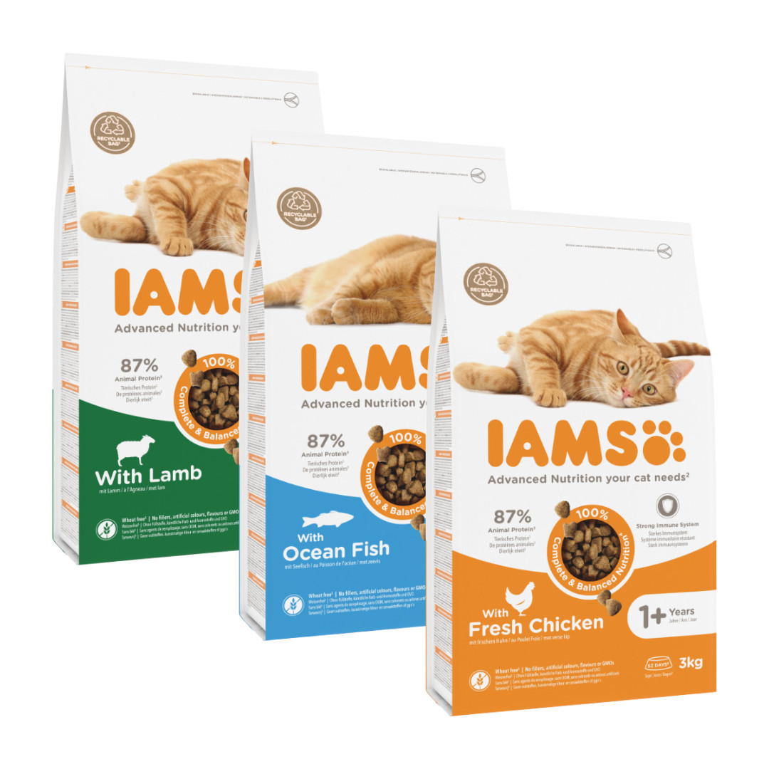 Iams Adult combipack med fisk/lamm/kyckling kattfoder