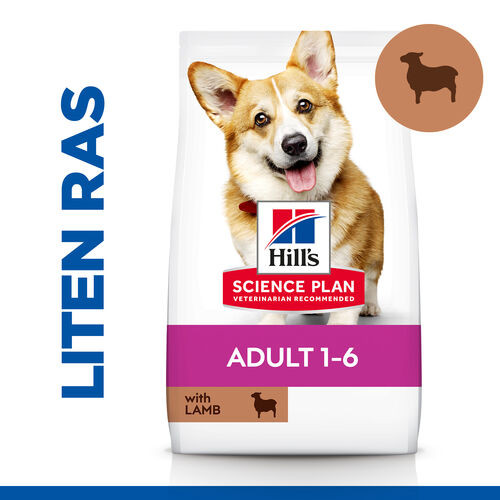 Hill's Adult Small & Mini hundfoder med lamm & ris