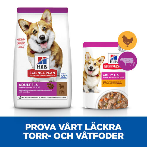 Hill's Adult Small & Mini hundfoder med lamm & ris