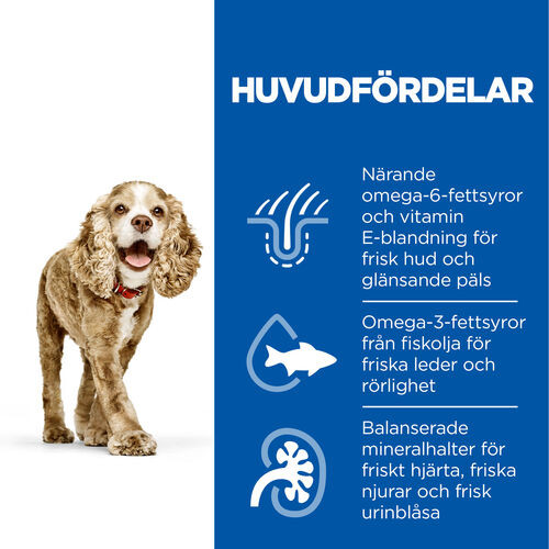 Hill's Senior Small & Mini hundfoder med kyckling