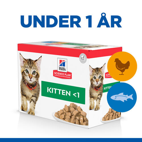 Hill's Kitten Favourite Selection våtfoder katt med kyckling och havsfisk kombipack (85 g)