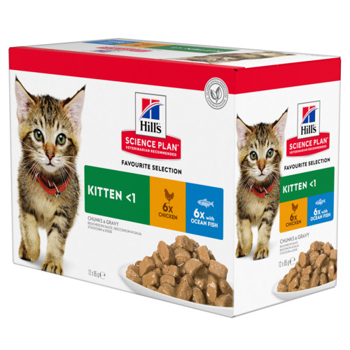 Hill's Kitten Favourite Selection våtfoder katt med kyckling och havsfisk kombipack (85 g)