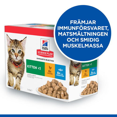 Hill's Kitten Favourite Selection våtfoder katt med kyckling och havsfisk kombipack (85 g)