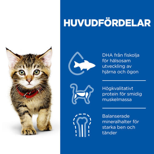 Hill's Kitten Favourite Selection våtfoder katt med kyckling och havsfisk kombipack (85 g)