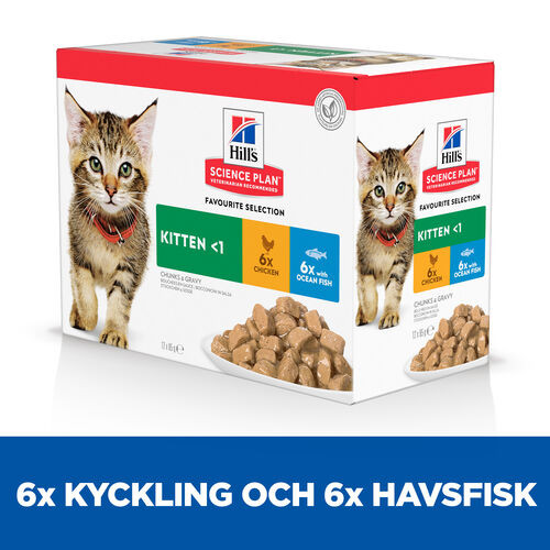 Hill's Kitten Favourite Selection våtfoder katt med kyckling och havsfisk kombipack (85 g)