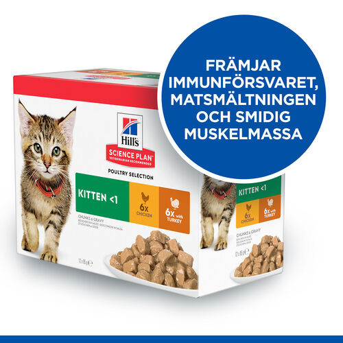 Hill's Kitten Poultry Selection våtfoder katt med kyckling och kalkon kombipack (85 g)