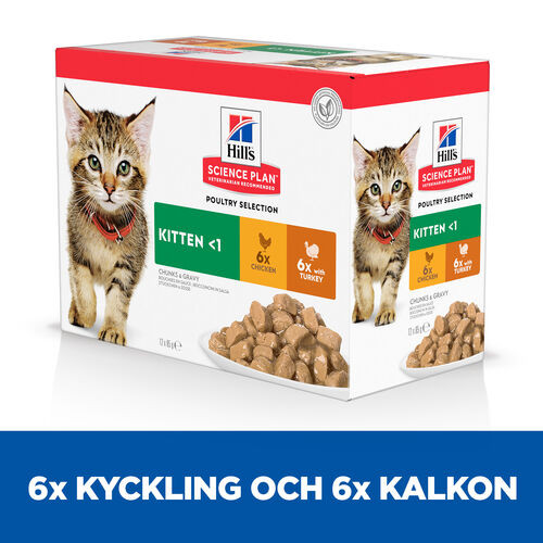 Hill's Kitten Poultry Selection våtfoder katt med kyckling och kalkon kombipack (85 g)