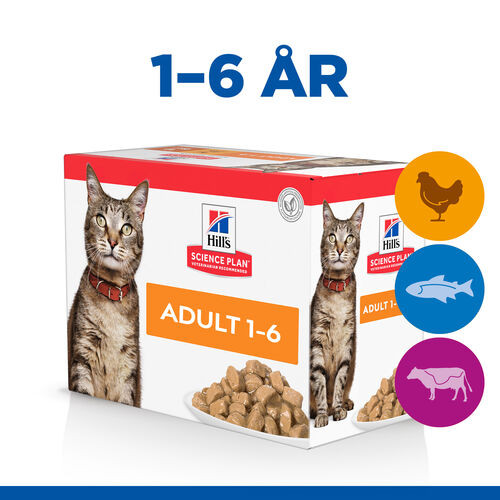 Hill's Adult Favourite Selection våtfoder katt med kyckling, fisk, nötkött multipack (85 g)