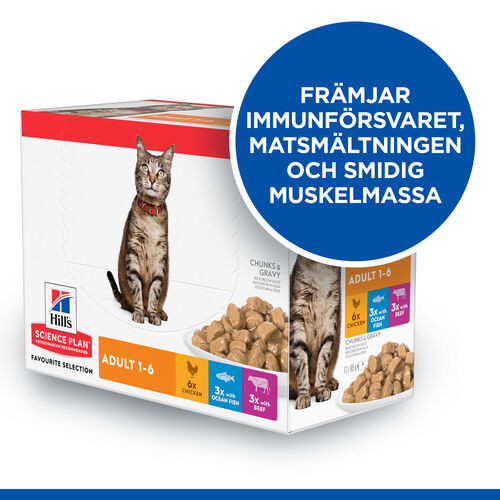 Hill's Adult Favourite Selection våtfoder katt med kyckling, fisk, nötkött multipack (85 g)