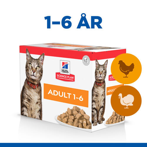 Hill's Adult Poultry Selection våtfoder katt med kyckling & kalkon kombipack (85 g)