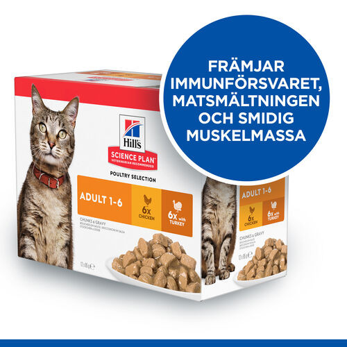 Hill's Adult Poultry Selection våtfoder katt med kyckling & kalkon kombipack (85 g)