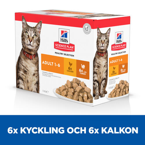 Hill's Adult Poultry Selection våtfoder katt med kyckling & kalkon kombipack (85 g)