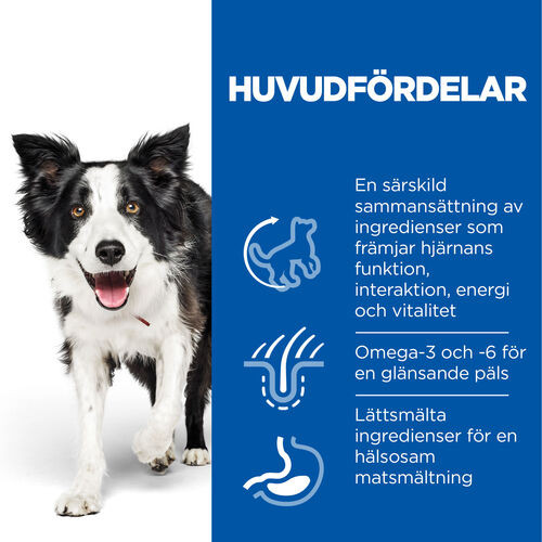 Hill's Mature Adult Senior Vitality Medium hundfoder med kyckling